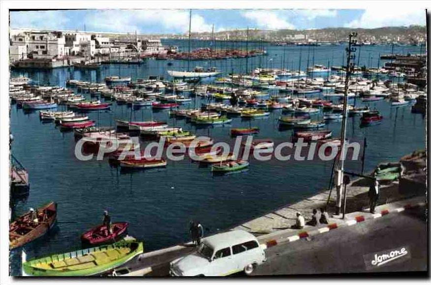 CPA Alger Vue Generale Sur Le Port De Plaisance