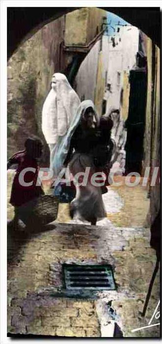 CPA Alger Une Rue Arabe