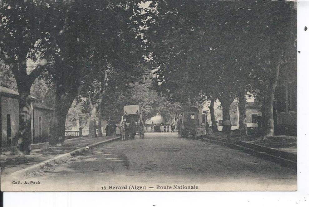 ALGERIE - BERARD (ALGER) - Route Nationale