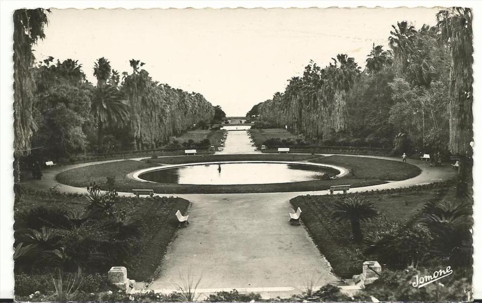 R  algérie   ALGER vue du  jardin d '  essai