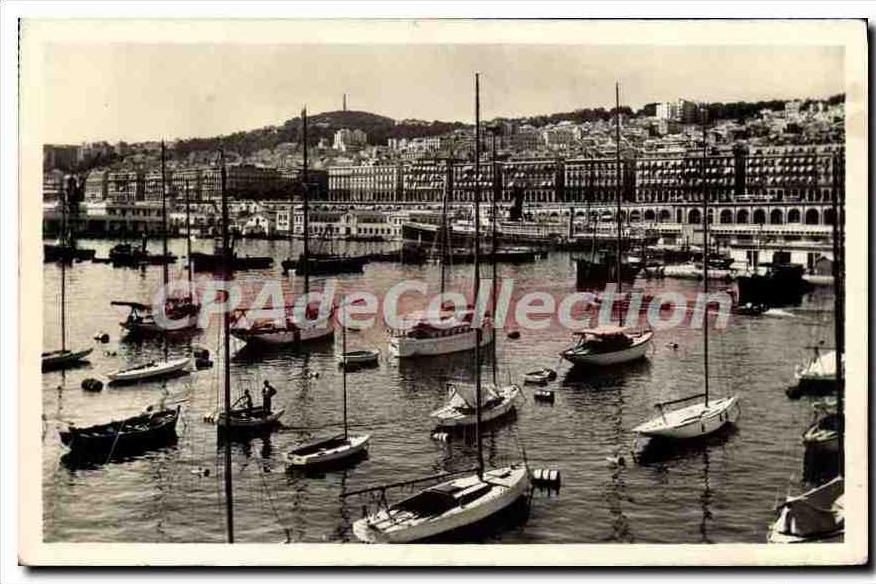 CPA Alger Boulevard De la république Et Carnot