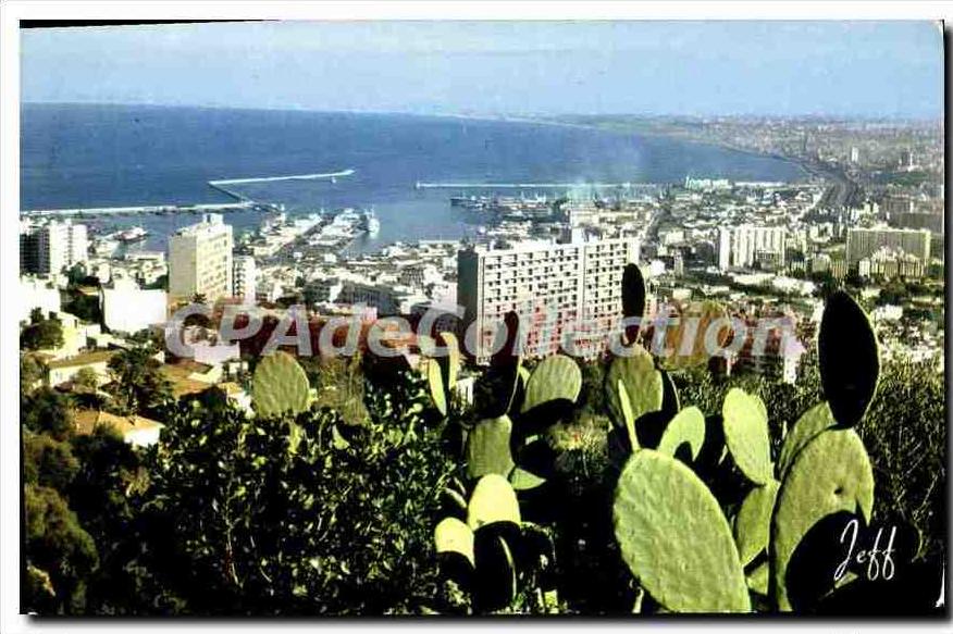 CPA Alger Panorama
