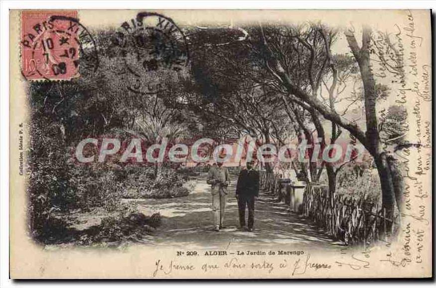 CPA ALGER jardin de Marengo