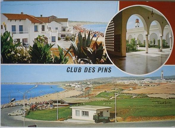 C. Postale  ALGERIE - ALGER - Plage du Club des Pins (1978)