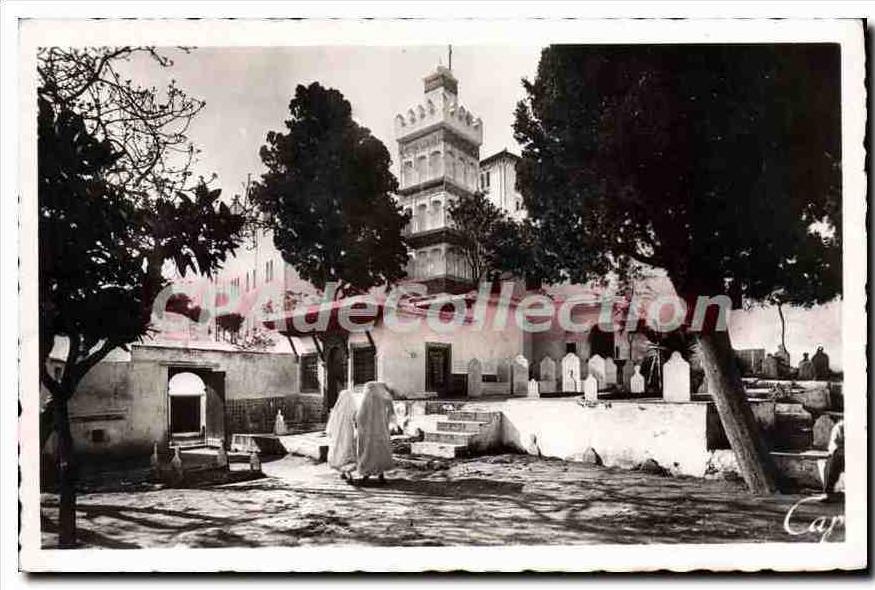 CPA Alger La Mosquee De Sidi Abderhaman
