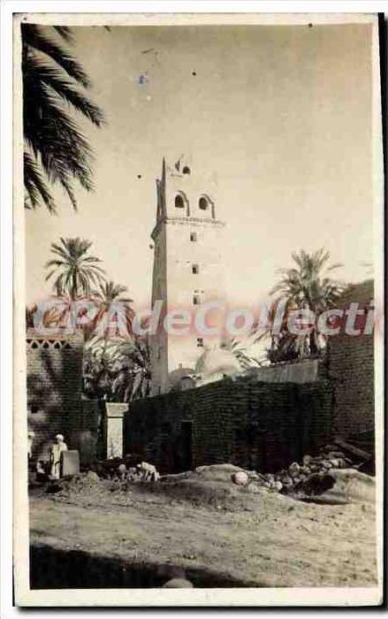 CPA Alger office Algerien D'Action Economique vues d'algérie