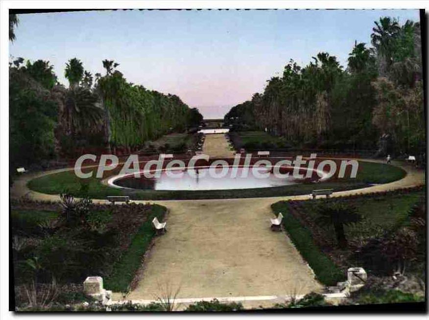 CPA Alger Jardin D'Essai