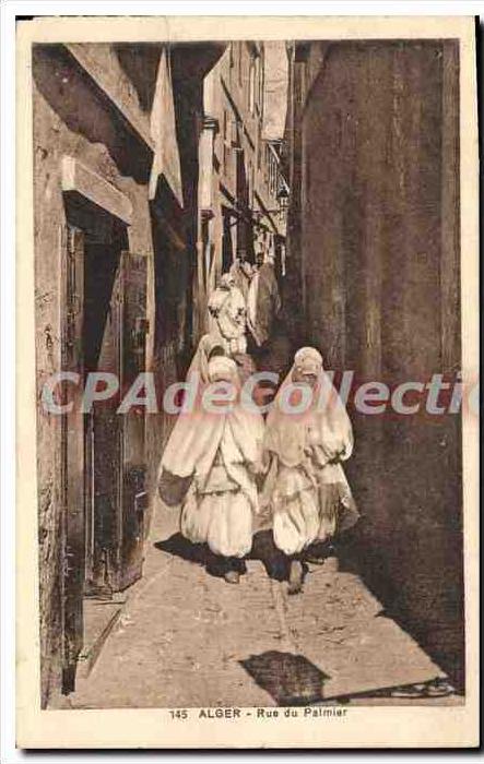 CPA ALGER rue du palmier