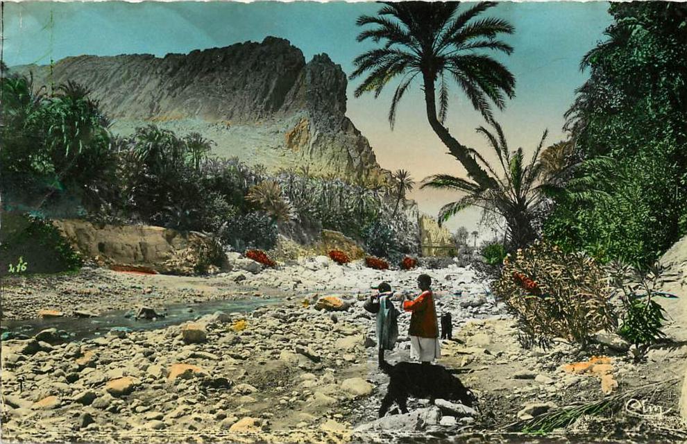 ALGERIE ALGER  un joli coin de l'Oued et de l'Oasis  (scan recto-verso) FRCR91113