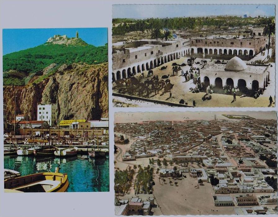 lot de 3 cpsm d'Algérie - OUARGLA ( place du Marché ) - TOUGGOURT ( vue aérienne ) - ORAN  (port de pêche)