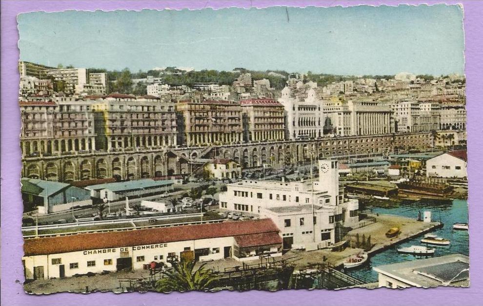 Algérie -  ALGER - Vue générale sur le Boulevard Carnot