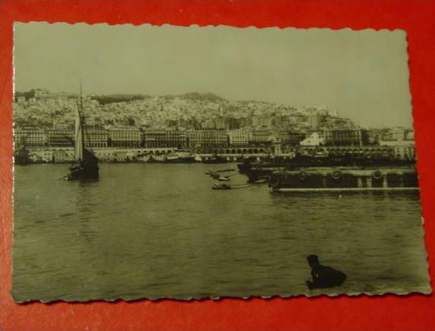 ALGERIE-ALGER-205-VU DE LA MER ED LA CIGOGNE- CODE FDCDLG