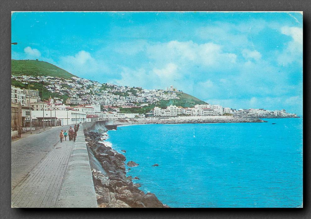 Algerie, Alger, Bab el Oued (scan recto-verso) KEVREN0155