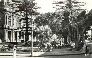 CPSM ALGERIE / Bone, le cours Bertagna