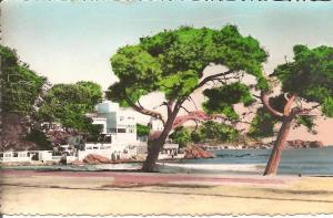 BONE (ALGERIE) Plage Chapuis CPSM