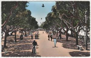 CPSM COLORISEE BONE ( ANNABA ), LE COURS BERTAGNA, format 9 cm sur 14 cm environ, ALGERIE