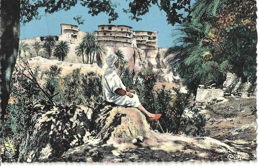 1966 CPSM  dentelée (format 14cmx9)   Alg.   BANIANE. La Guelâa