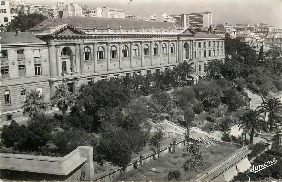 CPSM ALGERIE / ALGER