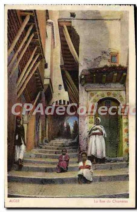 CPA Alger La Rue Du Chameau
