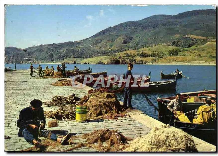 CPM Algerie Chetaibi le Port