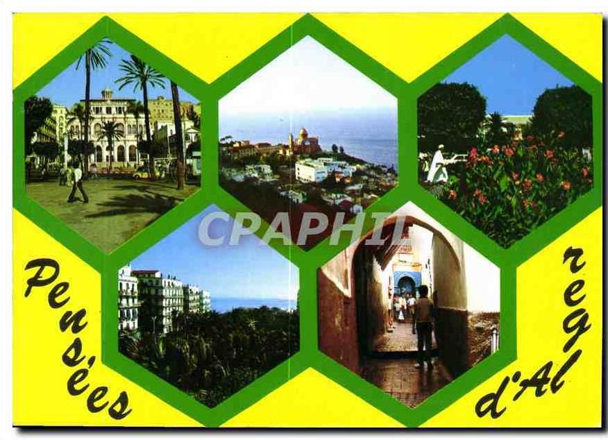 CPM Souvenir d'Alger