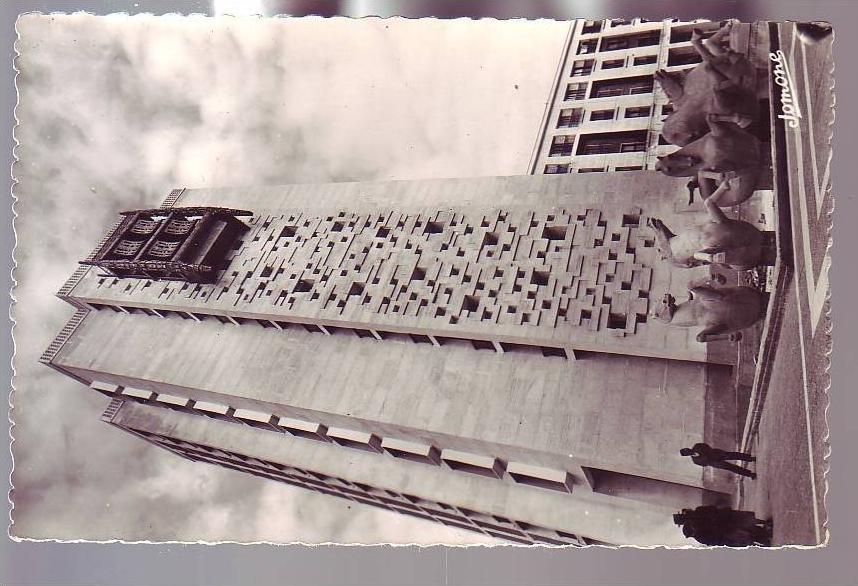 -  ALGER - DIAR EL MAHCOUL - ANIMEE -