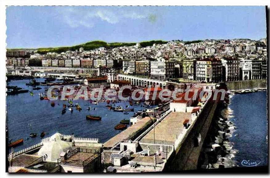 CPA ALGER vue générale