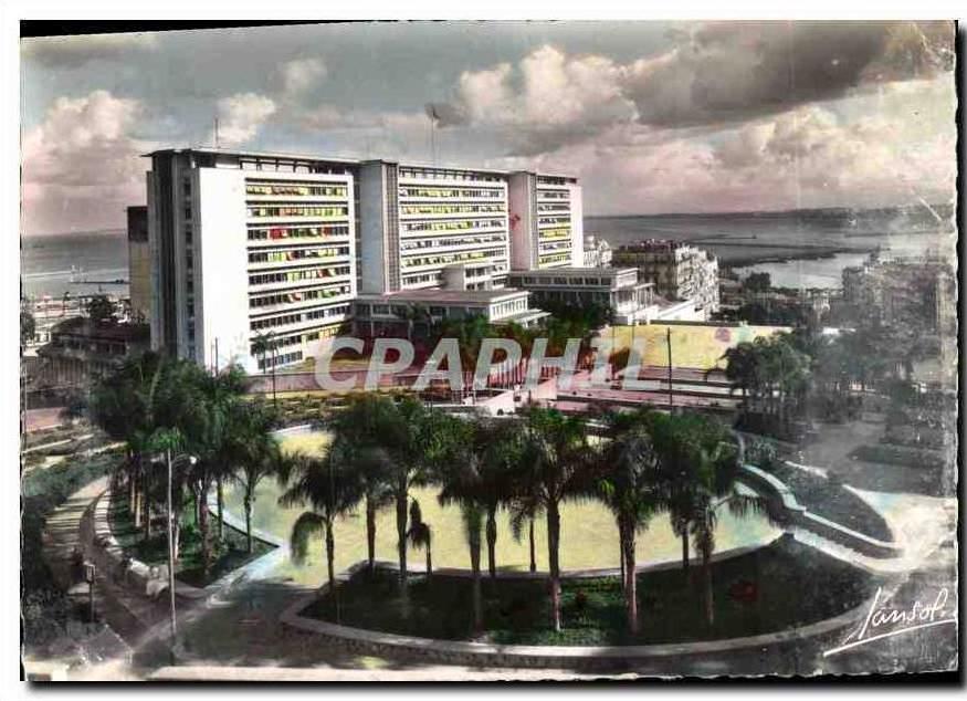 CPM Alger Bureaux du Gouvernement general et ses Jardins