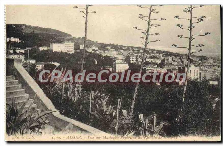 CPA Alger Vue Sur Mustapha Supérieur Du chemin de la croix