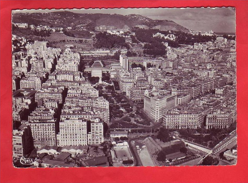 ALGERIE - ALGER - Vue aérienne des jardins