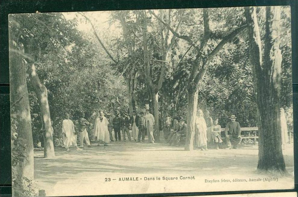 ALGERIE - AUMALE - Dans le square Carnot     bcl47