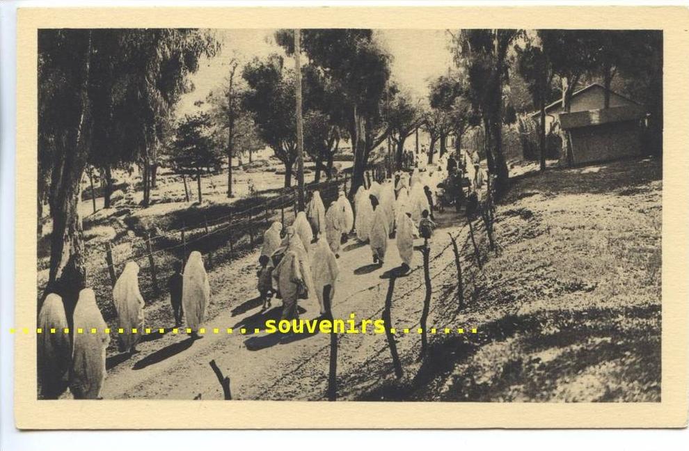 CPSM  Centenaire de  ALGERIE  , 1930  ALGER sur la route du cimetière d' El Kattar