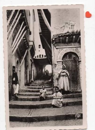 20064-ALGERIE-ALGER-La Rue du Chameau-----------animée