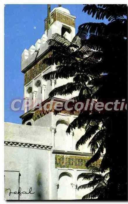 CPSM ALGER Sidi Abderahmane