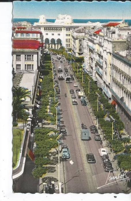 ALGERIE - ALGER - La rue Michelet