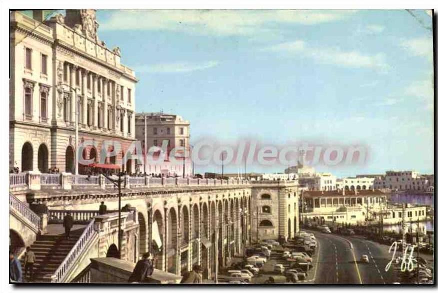 CPA Alger Le Front De Mer