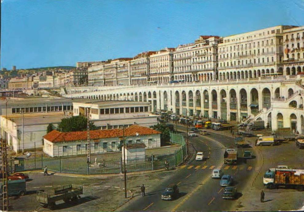 Algeria-Postcard 1973-Algiers the White-Fishing Voults and Avenues-2/scans
