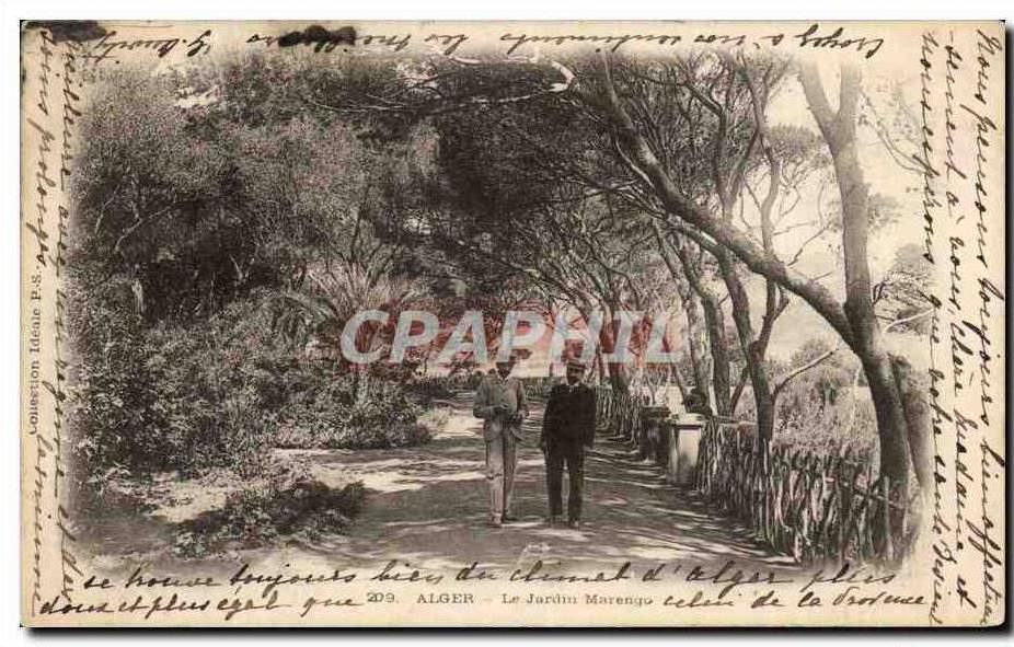 CPA Alger Le Jardin Marengo Algerie