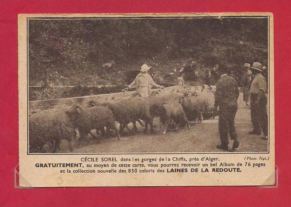 ALGERIE-CPA ALGER, les gorges de la Chiffa