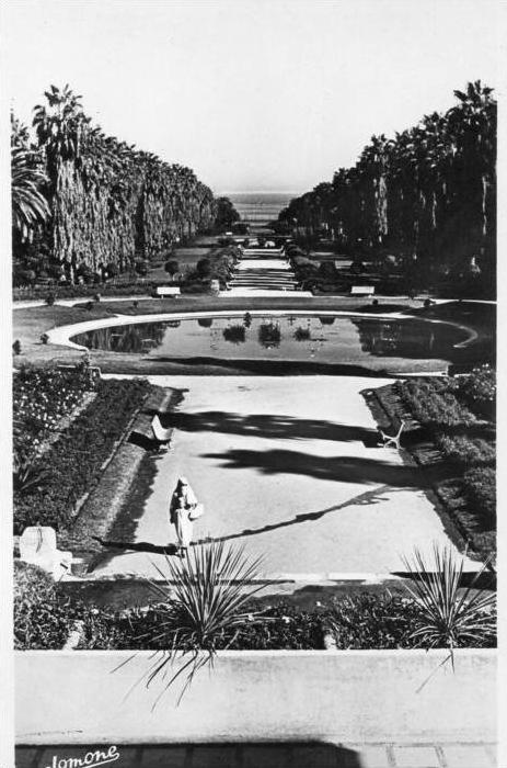 Afrique.Algerie.Alger .le Jardin d'essai