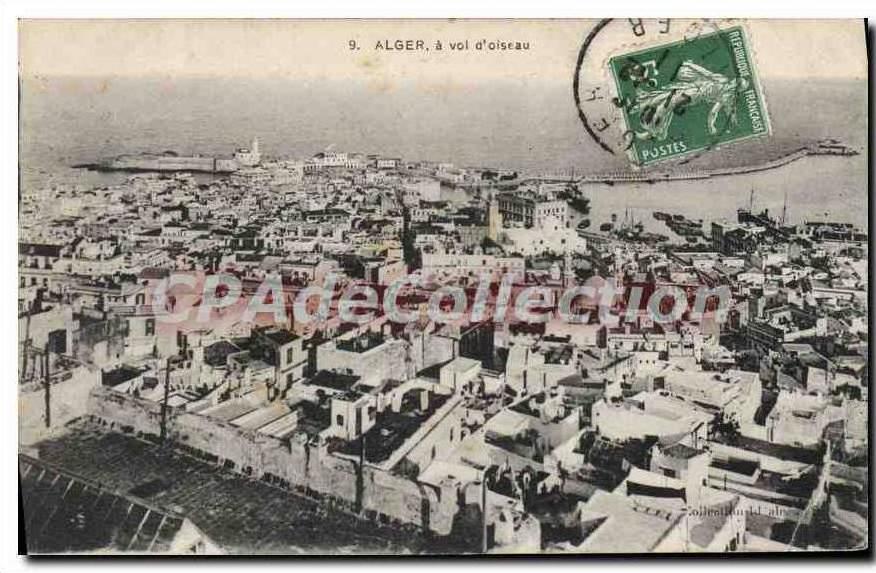 CPA Alger A Vol d'Oiseau