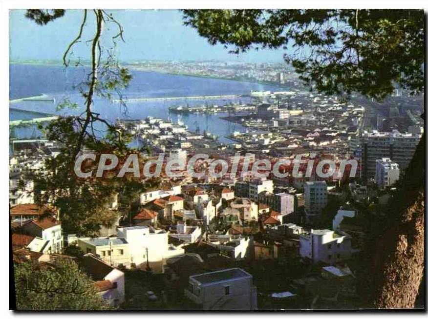 CPA Alger Vue Panoramique
