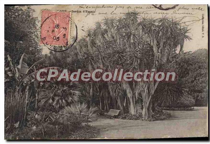 CPA ALGER jardin d'essai