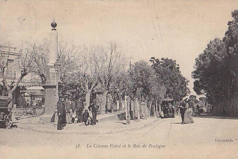 Algérie - Alger - Colonne Voirol et Bois de Boulogne - Tramway