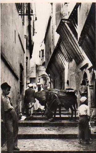 ALGER  Casbah Rue N'Fissah, charrette
