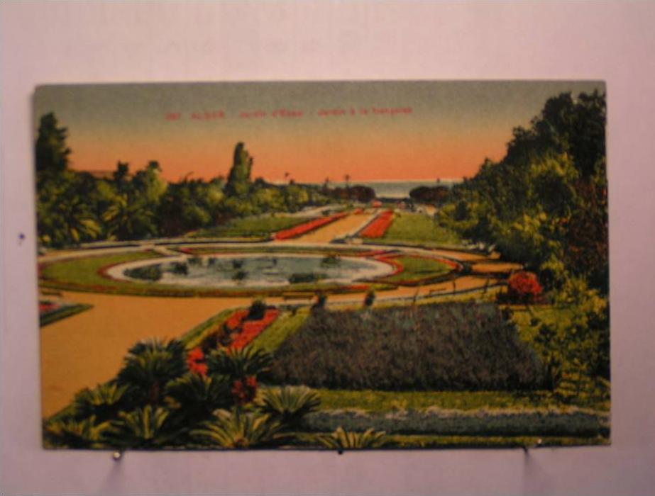 Alger - Jardin d'Essai - Jardin à la Française