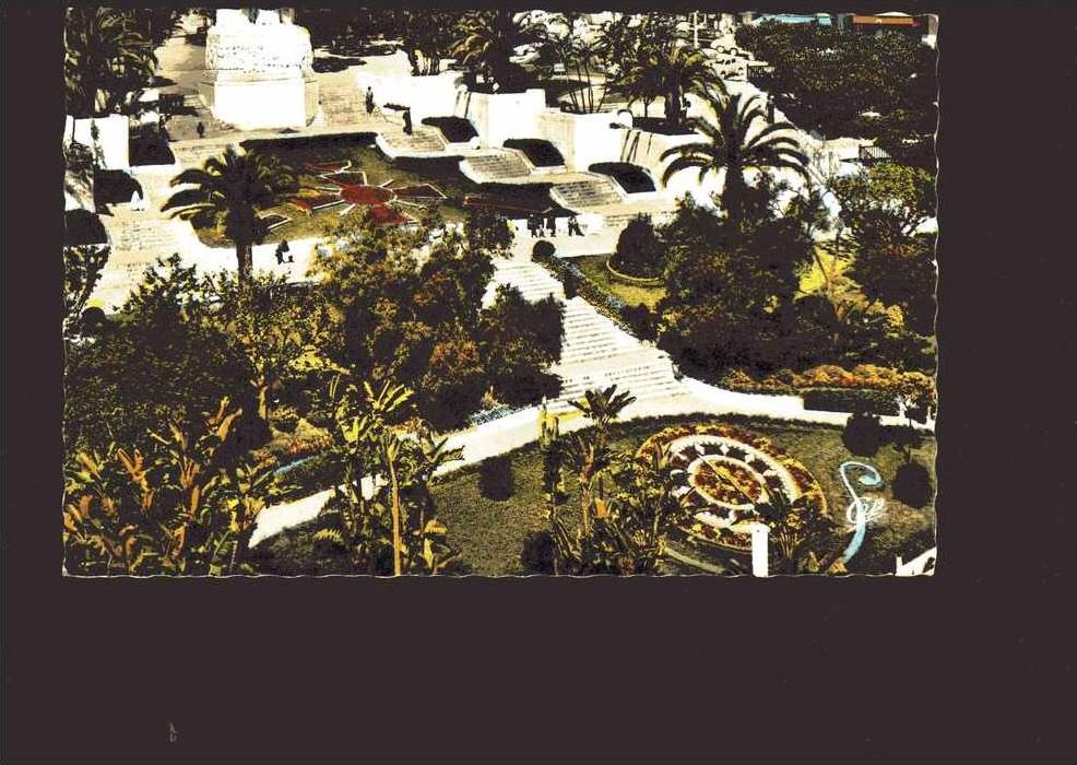 CP  ALGERIE  Alger  square  Laferrière