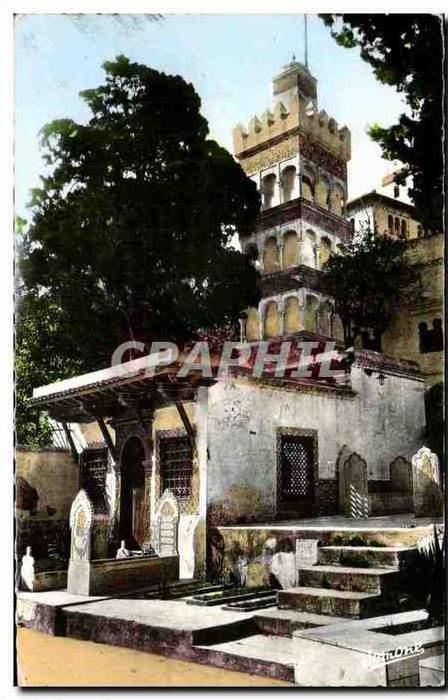 CPA Alger La Mosquee De Sidi Abderrahmane