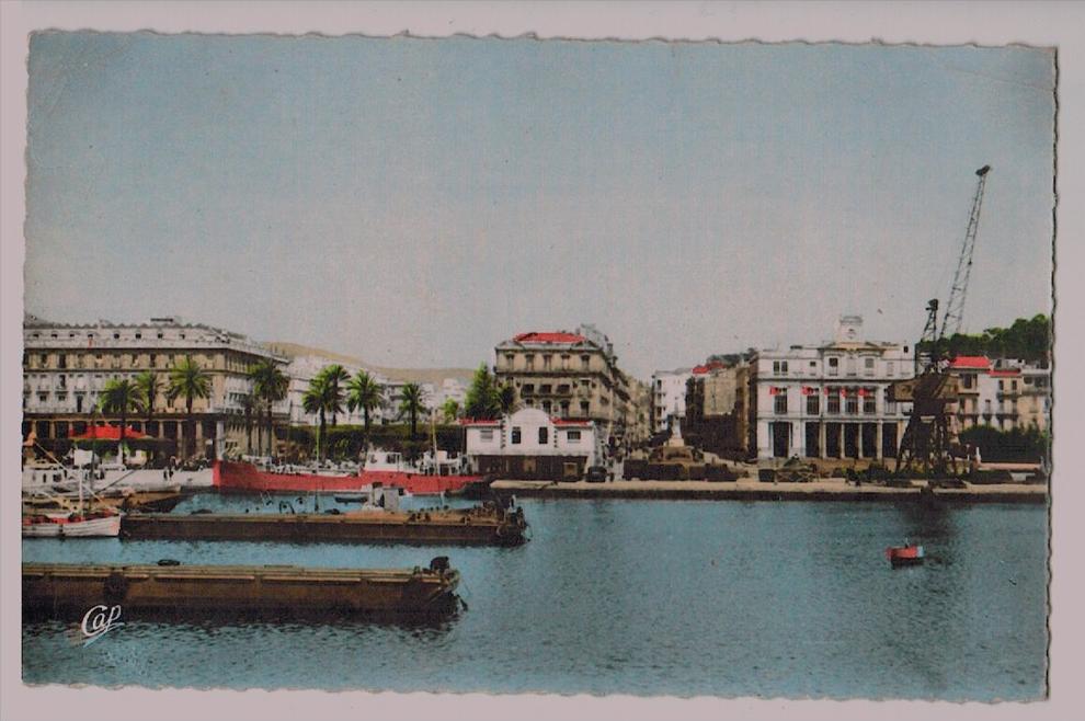 cpsm BONE Bône ou Annaba   Entrée du Cours