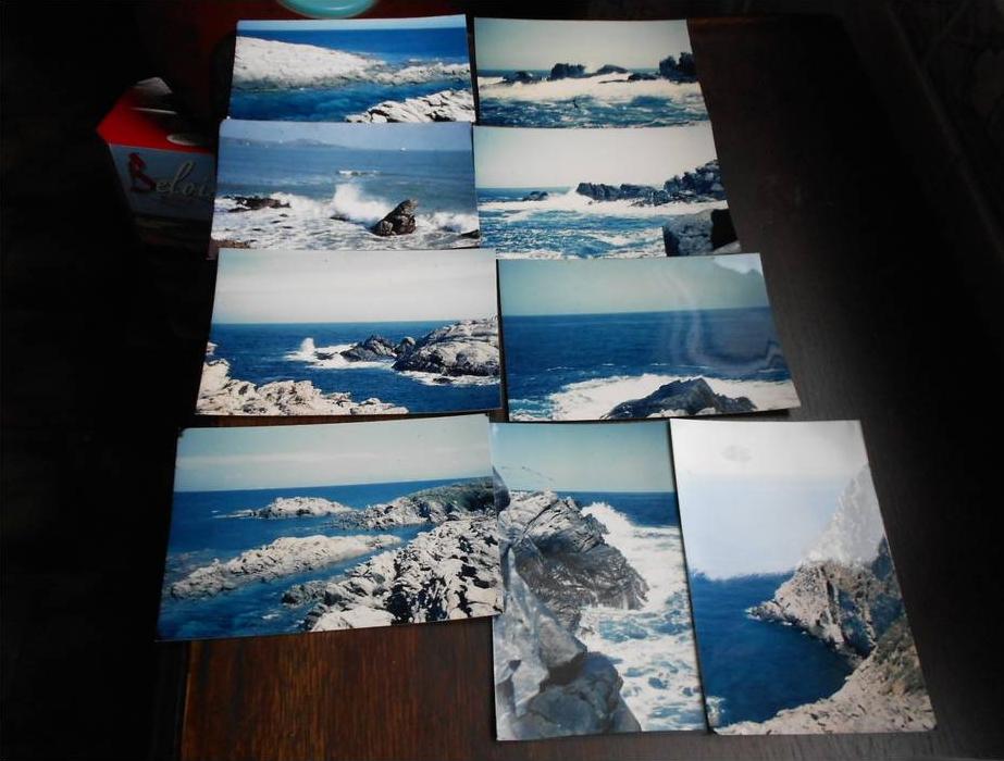 BONE LOT DE 9 PHOTOS  COULEUR 